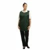 Best deal 🥰 Whites Chefs Clothing Whites Tabard With Pocket Green 😀