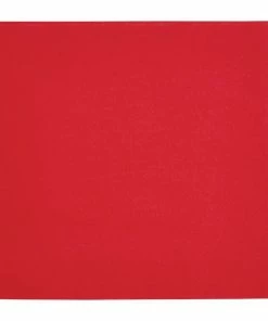 Top 10 🥰 Fiesta Recyclable Dinner Napkin Red 40x40cm 2ply 1/4 Fold (Pack Of 2000) 🛒